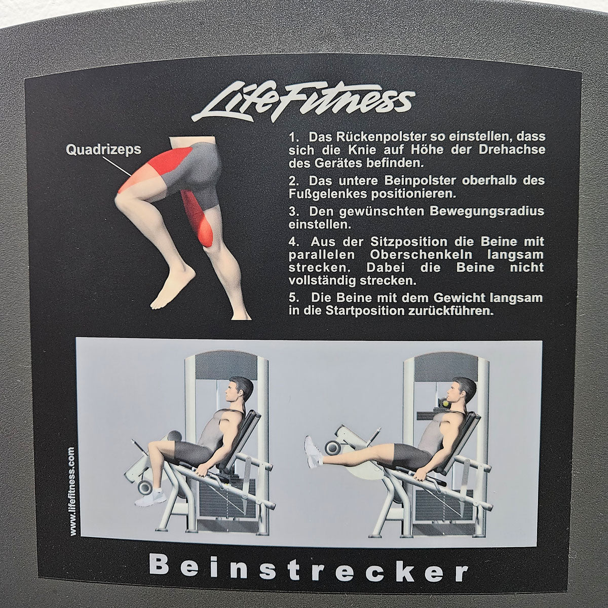 Vorschaubild 13