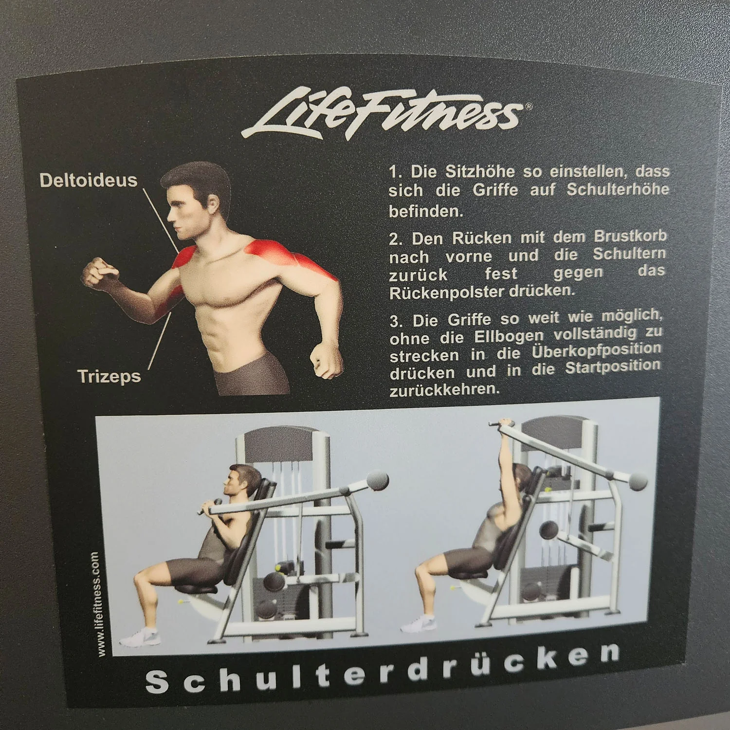 Vorschaubild 8